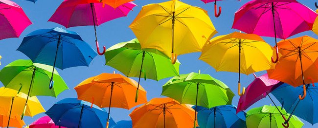 How to Pick an Umbrella to Keep You Dry